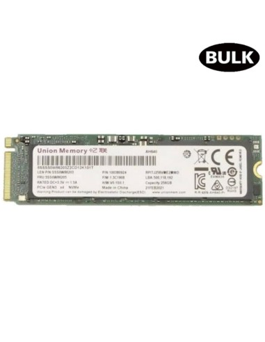 DISCO M.2 256GB UNION MEMORY   BULK PN: REA3014...