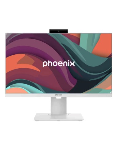 257401 AIO   23.8" PHOENIX     BAREBONE...